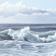 An der Nordsee  |  2012  |  l auf Leinwand  |  20 x 20 cm