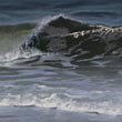 Welle I   |   2018 | l auf Leinwand | 20 x 20 cm