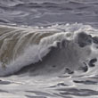 North Sea wave IV   |   2020  |  oil on canvas   |  20 x 45 cm
