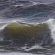 Nordseebrandung   |   2019  |  Öl auf Leinwand  |  20 x 40 cm