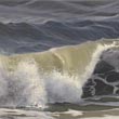 North Sea wave   |   2018  |  oil on canvas  |  20 x 40 cm